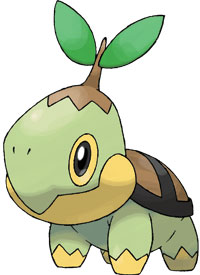 turtwig.jpg