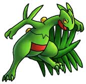 grovyle1.jpg