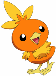 torchic.jpg