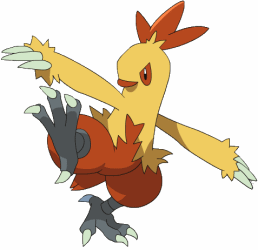 combusken.gif