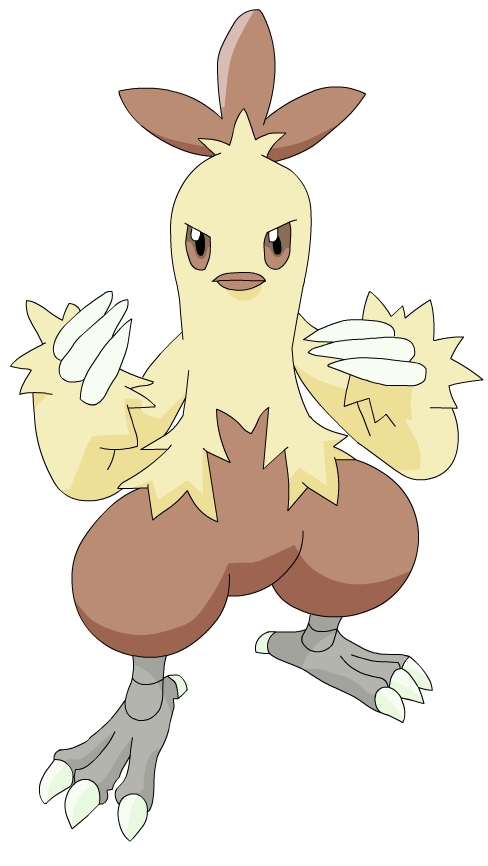 Combusken__the_Kung_Pow_Chick_by_Sajirou.jpg