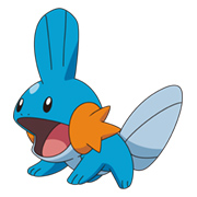 mudkip1.jpg